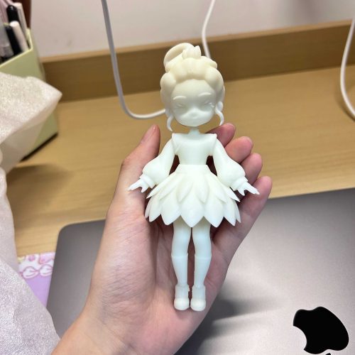 3D Printing Customized Product Service photo review